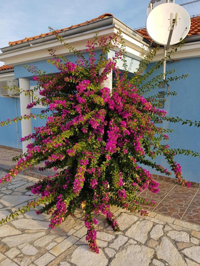 Holiday Home Ankica Ražanac 外观 照片