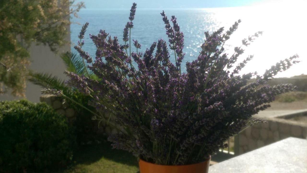 Holiday Home Ankica Ražanac 外观 照片